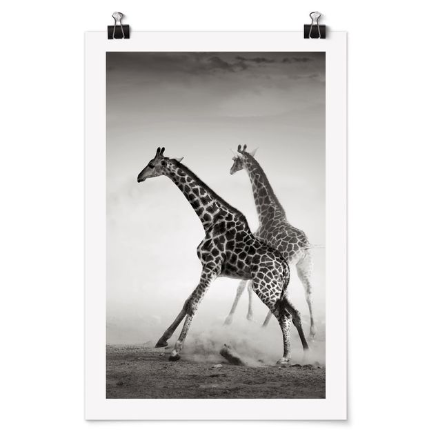 Poster - Giraffenjagd - Hochformat 3:2