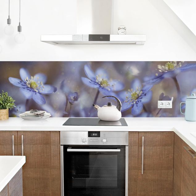 Küchenrückwand - Anemonen in Blau