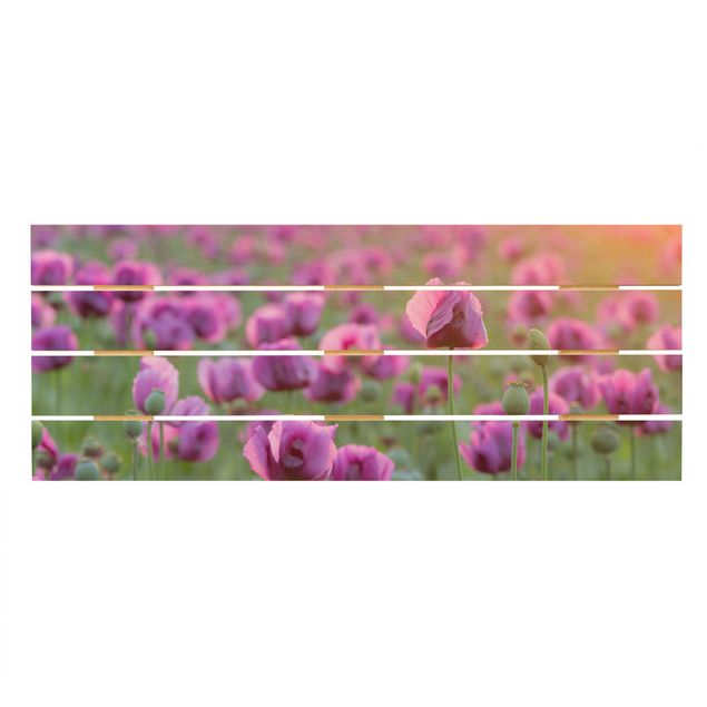Holzbild - Violette Schlafmohn Blumenwiese im Frühling - Querformat 2:5