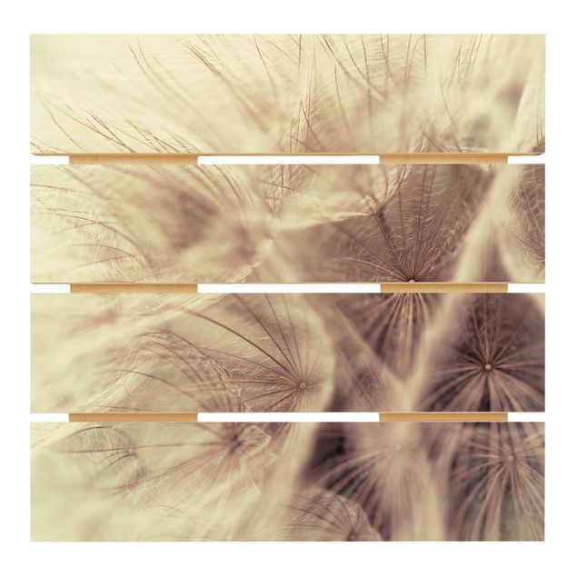 Holzbild - Detailreiche Pusteblumen Makroaufnahme mit Vintage Blur Effekt - Quadrat 1:1