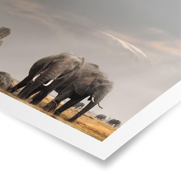 Poster - Elefanten der Savanne - Hochformat 3:4