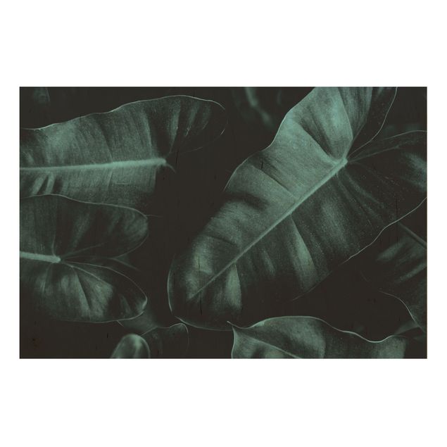 Holzbild - Dschungel Blätter Dunkelgrün - Querformat 2:3
