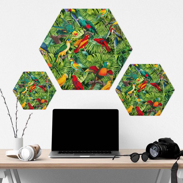 Hexagon Bild Forex - Bunte Collage - Papageien im Dschungel