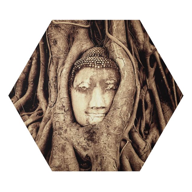 Hexagon Bild Alu-Dibond - Buddha in Ayutthaya von Baumwurzeln gesäumt in Braun
