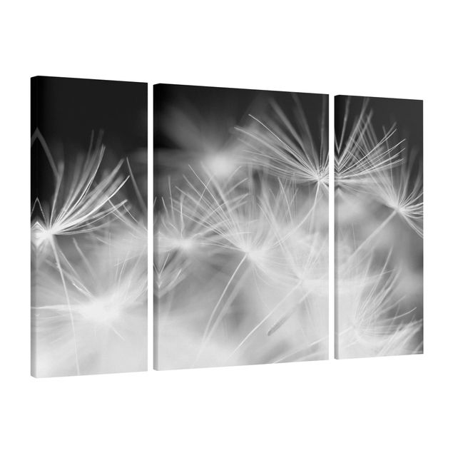 Leinwandbild 3-teilig - Bewegte Pusteblumen Nahaufnahme auf schwarzem Hintergrund - Triptychon