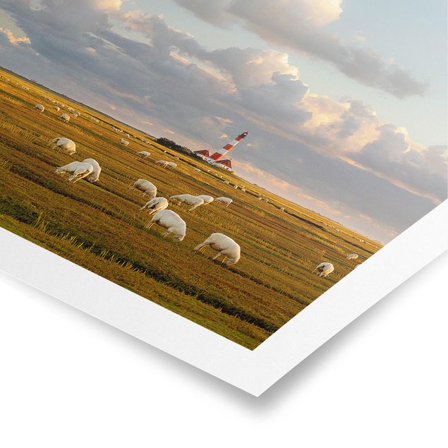 Poster - Nordsee Leuchtturm mit Schafsherde - Querformat 3:4