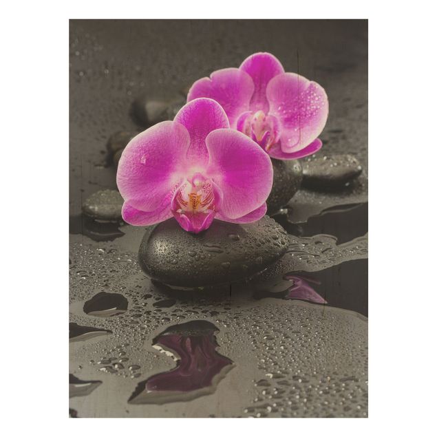 Holzbild - Pinke Orchideenblüten auf Steinen mit Tropfen - Hochformat 4:3
