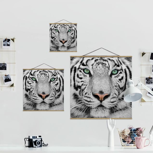 Stoffbild mit Posterleisten - Weißer Tiger - Quadrat 1:1