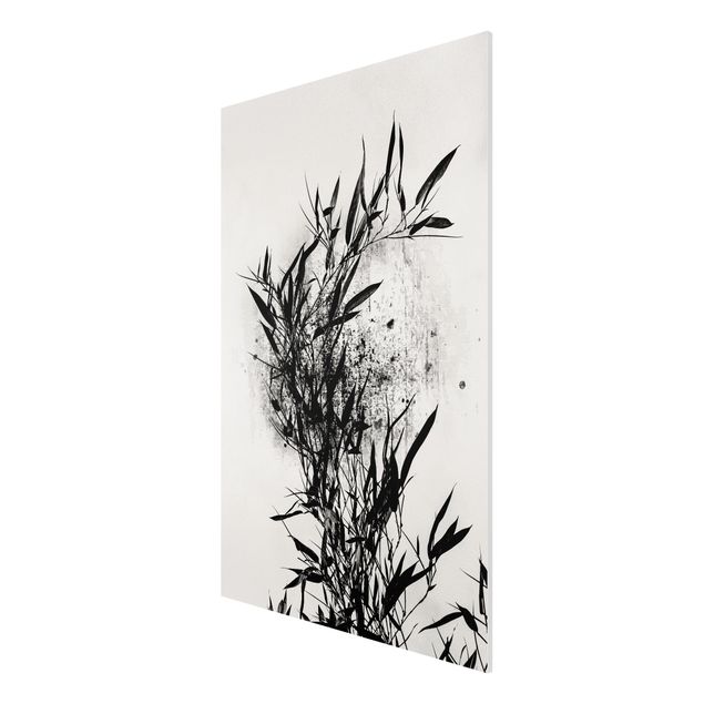 Forex Fine Art Print - Grafische Pflanzenwelt - Schwarzer Bambus - Hochformat 3:2