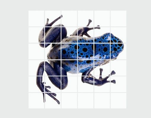 Fliesenbild - Blauer Frosch