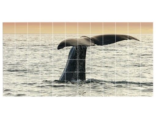 Fliesenbild - Wal beim Tauchgang