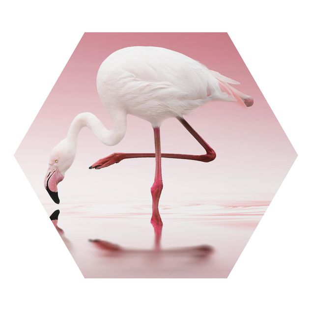 Hexagon Bild Alu-Dibond - Flamingo Dance