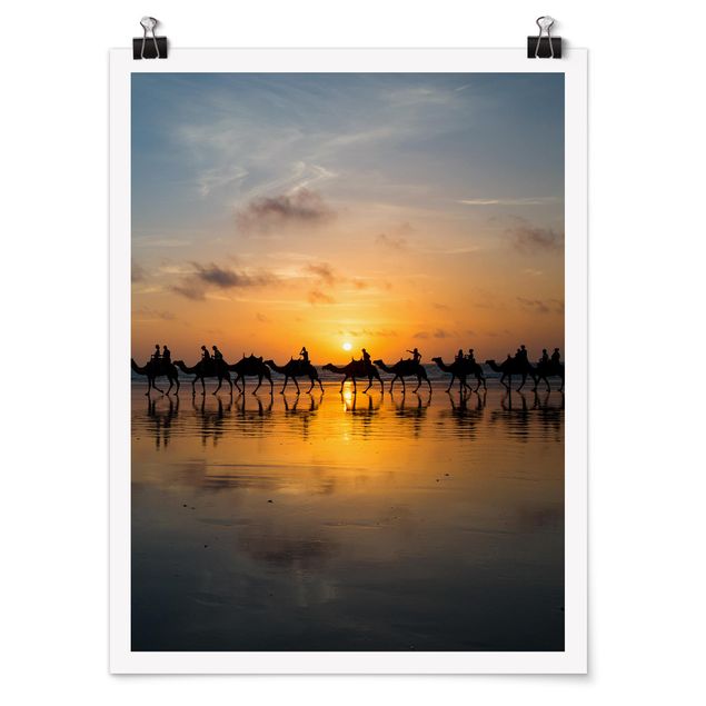 Poster - Kamele im Sonnenuntergang - Hochformat 3:4
