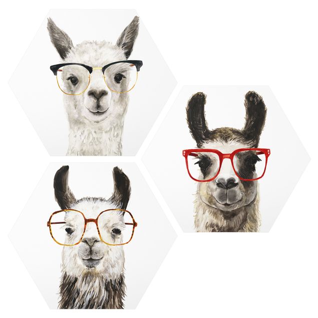 Hexagon Bild Forex 3-teilig - Hippe Lamas mit Brille Set I