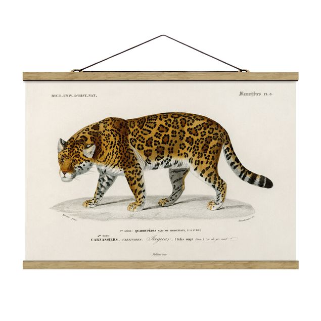 Stoffbild mit Posterleisten - Vintage Lehrtafel Jaguar - Querformat 3:2