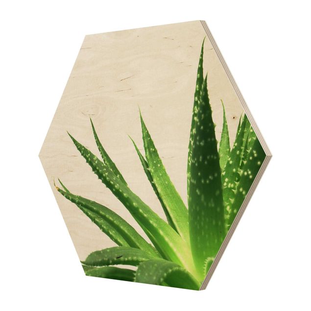 Hexagon Bild Holz - Aloe Vera