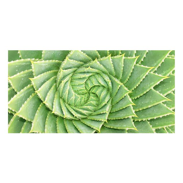 Spritzschutz Glas - Spiral Aloe - Querformat - 2:1