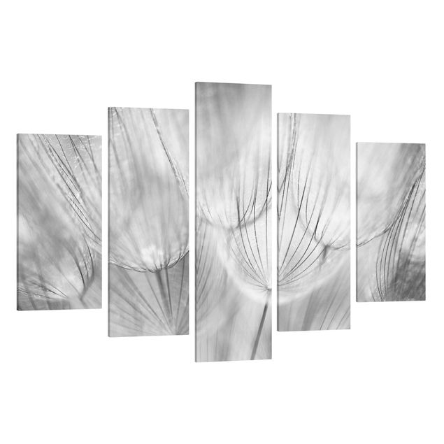 Leinwandbild 5-teilig - Pusteblumen Makroaufnahme in schwarz-weiss