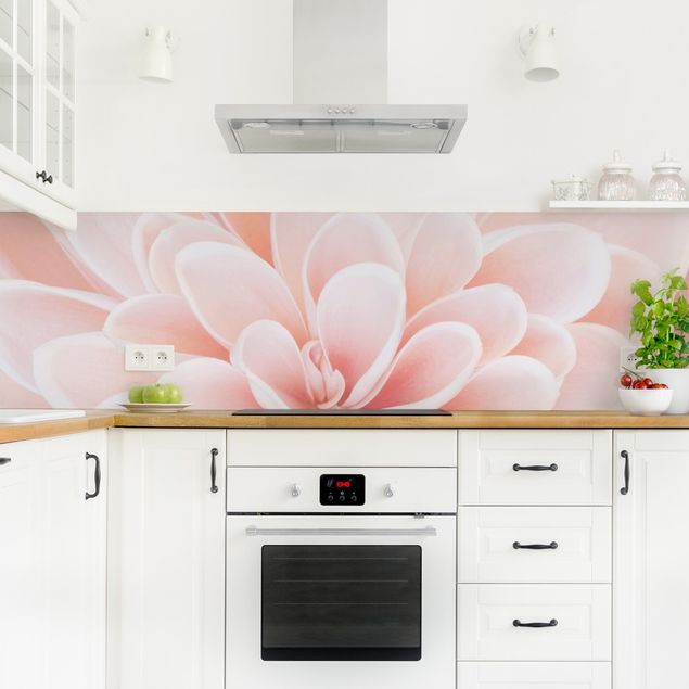 Küchenrückwand - Dahlie in Pastellrosa