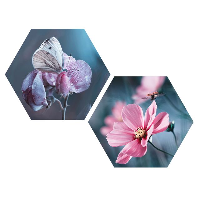 Hexagon Bild Forex 2-teilig - Schmetterling und Marienkäfer auf Blüten