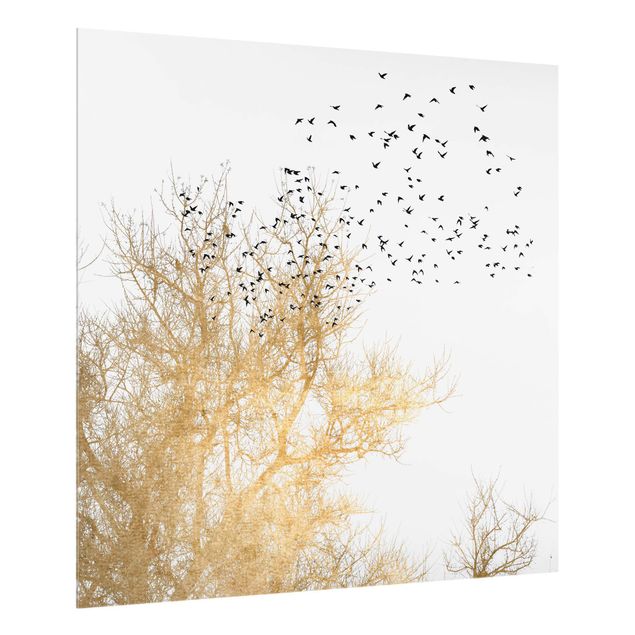 Spritzschutz Glas - Vogelschwarm vor goldenem Baum - Quadrat 1:1
