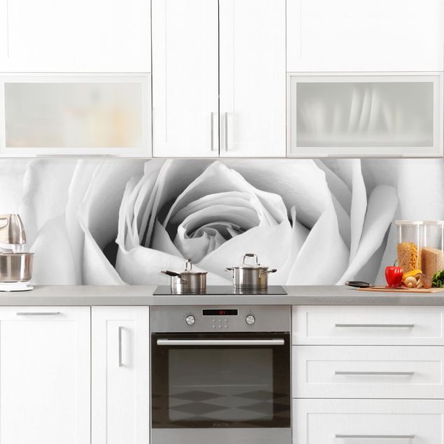 Küchenrückwand - Close Up Rose
