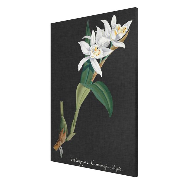 Magnettafel - Weiße Orchidee auf Leinen II - Memoboard Hochformat 3:2