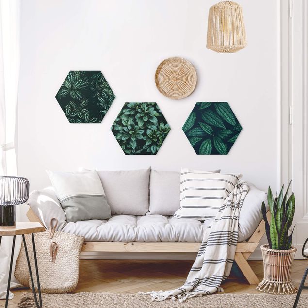 Hexagon Bild Forex 3-teilig - Blätter Trio