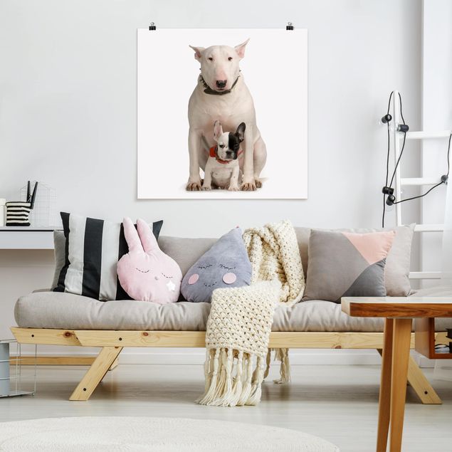 Poster - Bull Terrier and friend - Quadrat 1:1