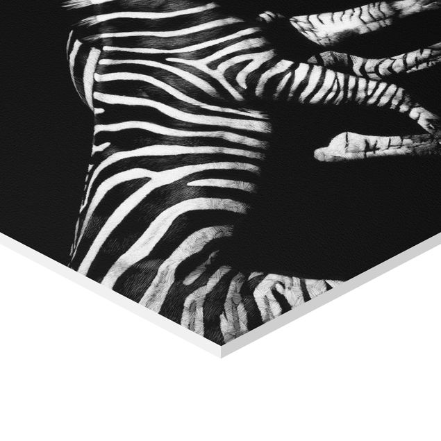Hexagon Bild Forex - Zebra vor Schwarz