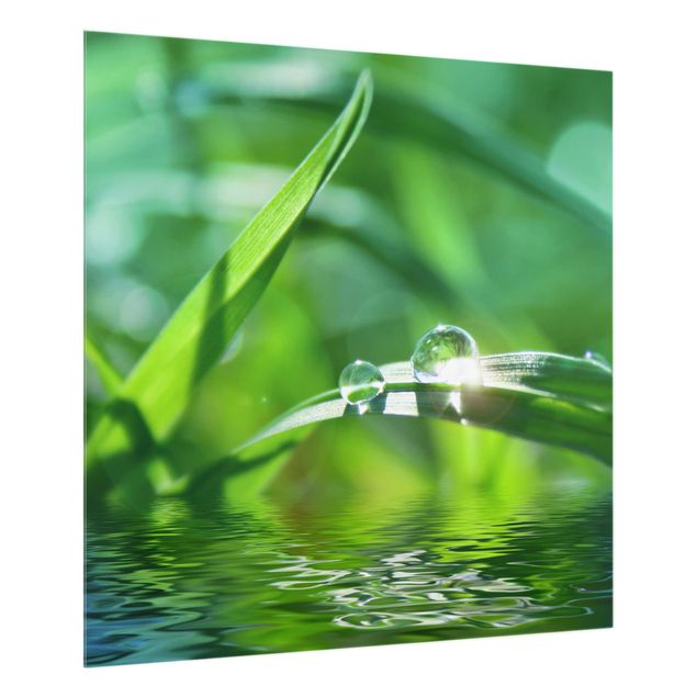 Glas Spritzschutz - Green Ambiance II - Quadrat - 1:1