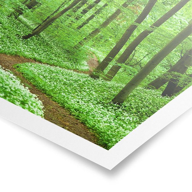 Poster - Romantischer Waldweg - Hochformat 3:2