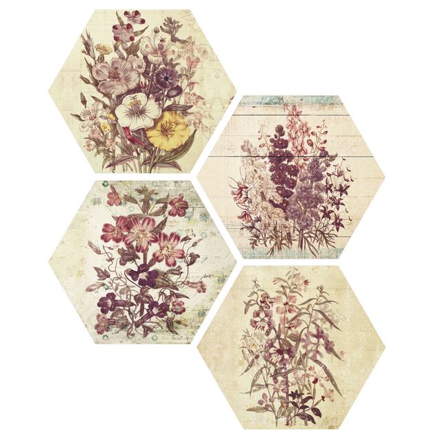 Hexagon Bild Forex 4-teilig - Vintage Blumen Sammlung