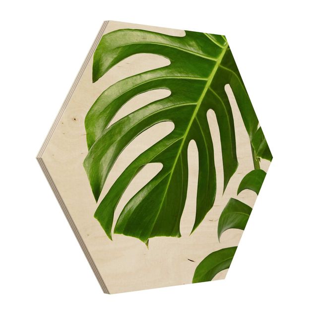 Hexagon Bild Holz - Grüne Blätter Monstera