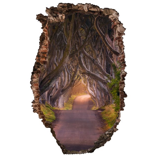 Wandaufkleber Tunnel aus Bäumen