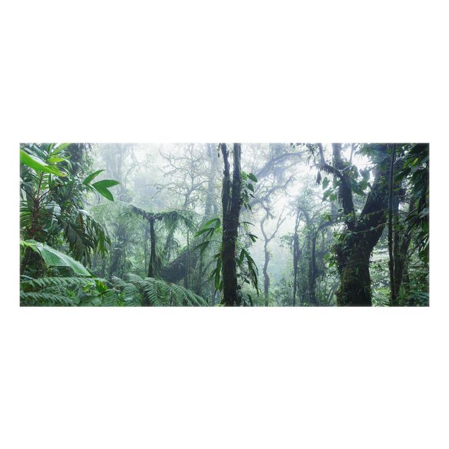Spritzschutz - Monteverde Nebelwald - Panorama 5:2