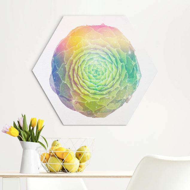 Hexagon Bild Alu-Dibond - Wasserfarben - Mandala Sukkulente