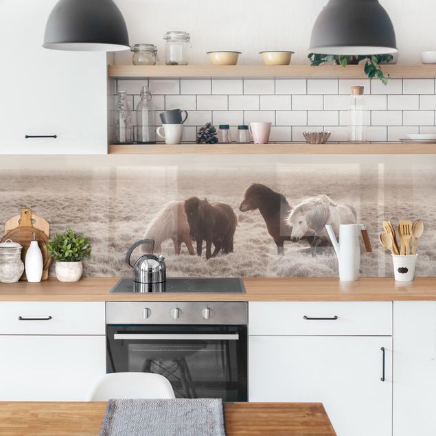 Küchenrückwand - Island Wildpferde