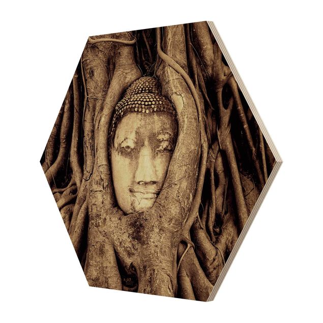 Hexagon Bild Holz - Buddha in Ayutthaya von Baumwurzeln gesäumt in Braun