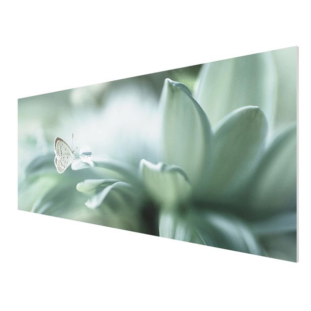 Forex Fine Art Print - Schmetterling und Tautropfen in Pastellgrün - Panorama