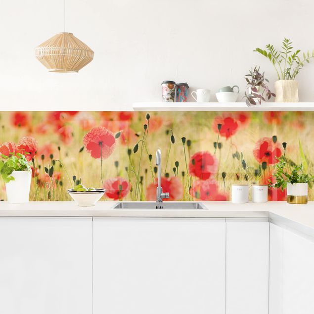Küchenrückwand - Summer Poppies