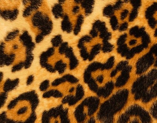 Wandbriefkasten - Jaguar Skin - Briefkasten Braun