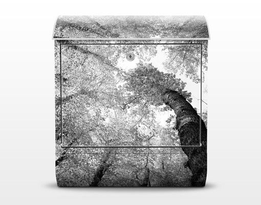 Wandbriefkasten - Bäume des Lebens II - Briefkasten Grau