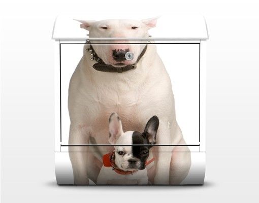 Briefkasten mit Zeitungsfach - Bull Terrier And Friend - Briefkasten mit Tiermotiv
