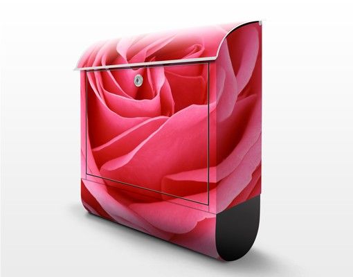 Briefkasten mit Zeitungsfach - Lustful Pink Rose - Blumen Rosa, Pink
