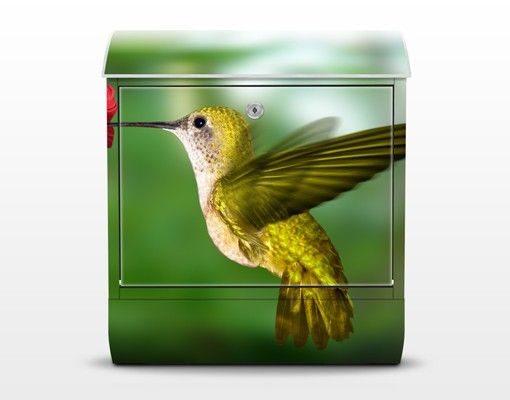 Briefkasten mit Zeitungsfach - Kolibri und Blüte - Briefkasten mit Tiermotiv