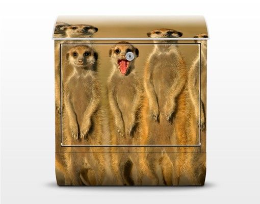 Briefkasten mit Zeitungsfach - Meerkat Family - Briefkasten mit Tiermotiv