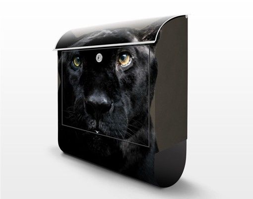 Briefkasten mit Zeitungsfach - Black Puma - Briefkasten mit Tiermotiv