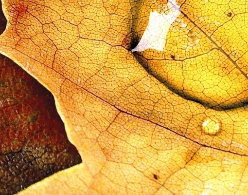 Wandbriefkasten - Magical Leaf - Briefkasten Gelb