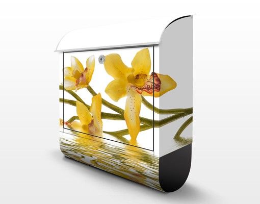 Briefkasten mit Zeitungsfach - Saffron Orchid Waters - Blumen Gelb-Weiß
